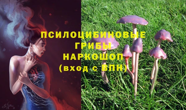 МДПВ Михайловка