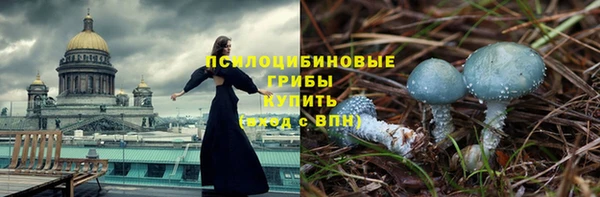трава Медвежьегорск