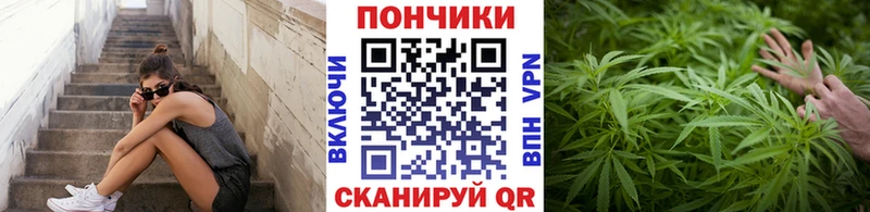 Бошки Шишки SATIVA & INDICA цены наркотик Ужур
